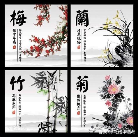 梅蘭菊竹四君子|四君子(梅、蘭、竹、菊的別稱):釋義,發展歷程,寓意由。